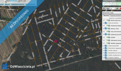 Działka leśna Popowo-Letnisko 325000 zł m2 - Popowo-Parcele  - mazowieckie