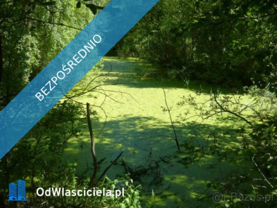 Działka 10 h - Pomiłowo  - zachodniopomorskie