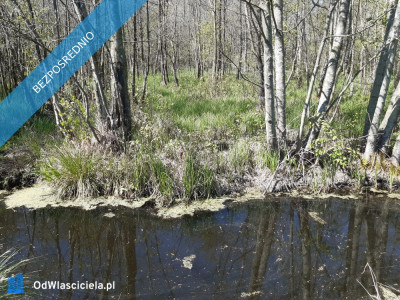 Działka 10 h - Pomiłowo  -
zachodniopomorskie Zdjęcie nr 2
