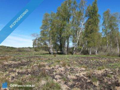 Działka 10 h - Pomiłowo  -
zachodniopomorskie Zdjęcie nr 3