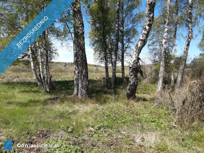 Działka 10 h - Pomiłowo  -
zachodniopomorskie Zdjęcie nr 5