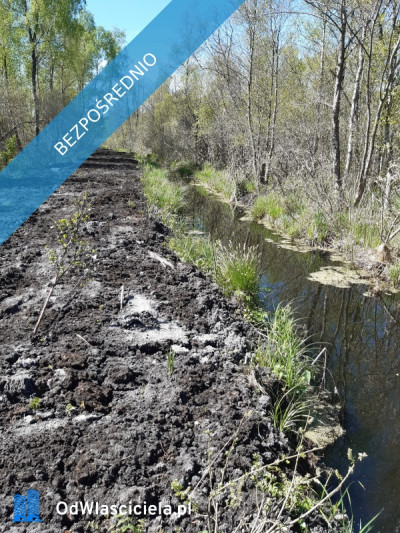 Działka 10 h - Pomiłowo  -
zachodniopomorskie Zdjęcie nr 6