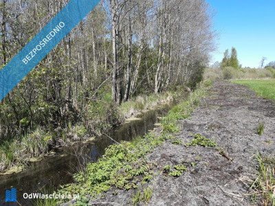 Działka 10 h - Pomiłowo  -
zachodniopomorskie Zdjęcie nr 7