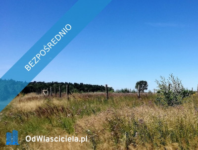 Ostatnia działka nad jeziorem w Wielkopolsce - Mościszki  -
wielkopolskie Zdjęcie nr 2