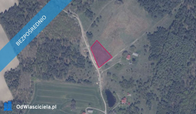 Działka 771 w miejscowości Błotnia - Błotnia  -
pomorskie Zdjęcie nr 2