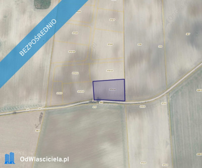 Działka 37214 w miejscowości Sękowo - Sękowo  - wielkopolskie