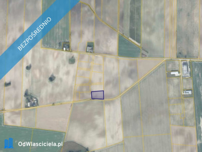 Działka 37214 w miejscowości Sękowo - Sękowo  -
wielkopolskie Zdjęcie nr 2