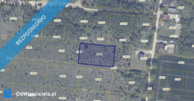 Działka 11814 w miejscowości Gołębiewo - Gołębiewo Wielkie  -
pomorskie Zdjęcie nr 2