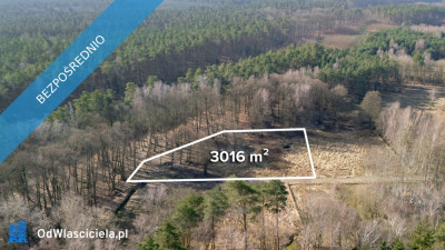 Działka przy lesie nad Zalewem Szczecińskim z warunkami - Nowe Warpno  - zachodniopomorskie