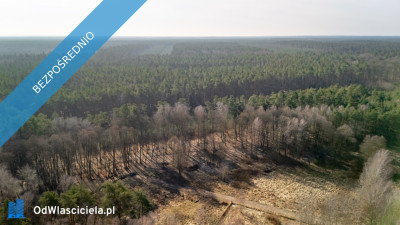 Działka przy lesie nad Zalewem Szczecińskim z warunkami - Nowe Warpno  -
zachodniopomorskie Zdjęcie nr 4