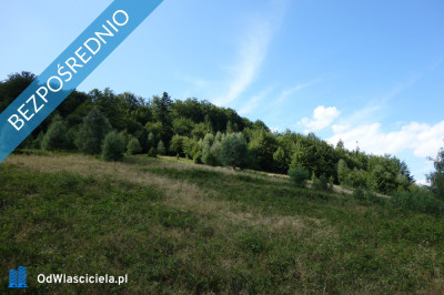 Brenna 253 ha działka inwestycyjna blisko wyciągu - Brenna  -
śląskie Zdjęcie nr 9