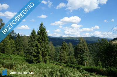 Brenna 253 ha działka inwestycyjna blisko wyciągu - Brenna  -
śląskie Zdjęcie nr 10