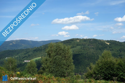 Brenna 253 ha działka inwestycyjna blisko wyciągu - Brenna  -
śląskie Zdjęcie nr 11