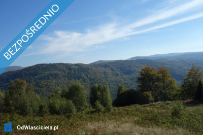 Brenna 253 ha działka inwestycyjna blisko wyciągu - Brenna  -
śląskie Zdjęcie nr 2
