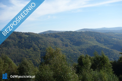 Brenna 253 ha działka inwestycyjna blisko wyciągu - Brenna  -
śląskie Zdjęcie nr 3