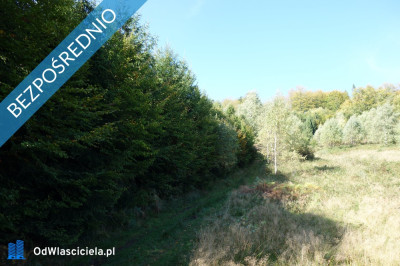 Brenna 253 ha działka inwestycyjna blisko wyciągu - Brenna  -
śląskie Zdjęcie nr 5