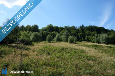 Brenna 253 ha działka inwestycyjna blisko wyciągu - Brenna  -
śląskie Zdjęcie nr 8