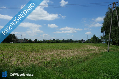 Skoczów Ochaby 32ha budowlany oraz pod usługi nieuciążliwe - Skoczów  -
śląskie Zdjęcie nr 3