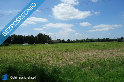 Skoczów Ochaby 32ha budowlany oraz pod usługi nieuciążliwe - Skoczów  -
śląskie Zdjęcie nr 4