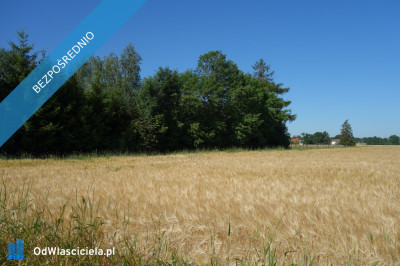 Skoczów Pruchna 115ha pod stadnine zabudowe lux lokalizacja - Skoczów  -
śląskie Zdjęcie nr 7