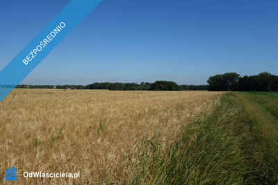 Skoczów Pruchna 115ha pod stadnine zabudowe lux lokalizacja - Skoczów  -
śląskie Zdjęcie nr 8