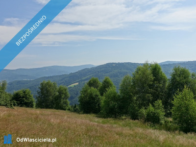 Brenna 253ha inwestycyjna pod pensjonaty domki letniskowe - Brenna  -
śląskie Zdjęcie nr 12