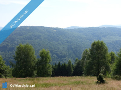 Brenna 253ha inwestycyjna pod pensjonaty domki letniskowe - Brenna  - śląskie