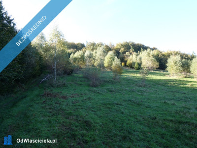 Brenna 253ha inwestycyjna pod pensjonaty domki letniskowe - Brenna  -
śląskie Zdjęcie nr 5