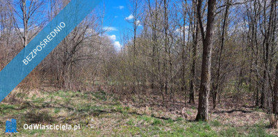 PROMOCJA Dwie działki w cenie jednej Słynny zalew SIELPIA Cisza i spokój dojazd z Warszawy  - Przyłogi  -
świętokrzyskie Zdjęcie nr 2