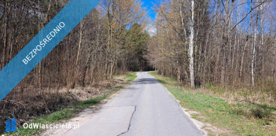 PROMOCJA Dwie działki w cenie jednej Słynny zalew SIELPIA Cisza i spokój dojazd z Warszawy  - Przyłogi  -
świętokrzyskie Zdjęcie nr 3