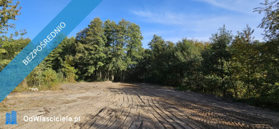 Działka budowlana o powierzchni 5386m2 z MPZP pełne uzbrojenie sprzedaż bezpośrednia - Kiekrz  -
wielkopolskie Zdjęcie nr 18