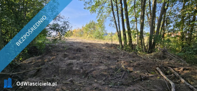 Działka budowlana o powierzchni 5386m2 z MPZP pełne uzbrojenie sprzedaż bezpośrednia - Kiekrz  -
wielkopolskie Zdjęcie nr 19