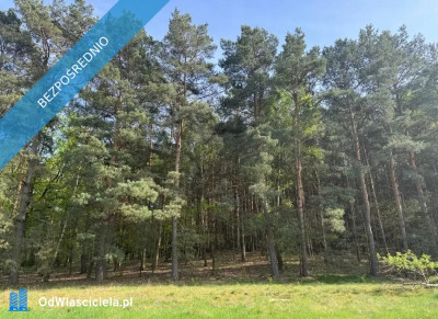 Zielona Góra Racula działka budowlana na sprzedaż 1554m2 - Racula  - lubuskie