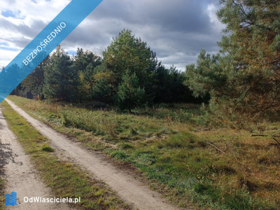 sprzedam działkę Mącice - Mącice  -
mazowieckie Zdjęcie nr 4