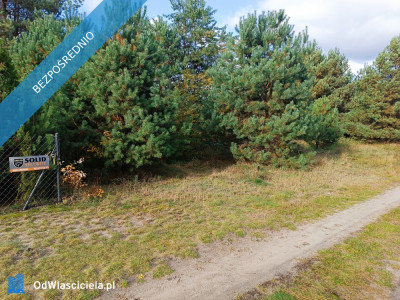 sprzedam działkę Mącice - Mącice  -
mazowieckie Zdjęcie nr 5