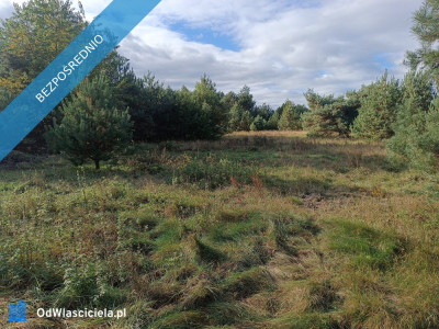 sprzedam działkę Mącice - Mącice  -
mazowieckie Zdjęcie nr 6