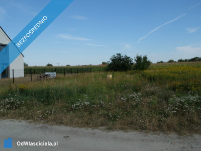 Działka 1100 m2 z WZ Jeszkowice blisko Wrocławia - Jeszkowice  -
dolnośląskie Zdjęcie nr 4