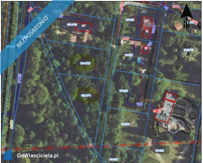 sprzedam piękneduże działki w Zaborzu gmina Żarki-ceny w treści ogłoszenia - Zaborze  - śląskie