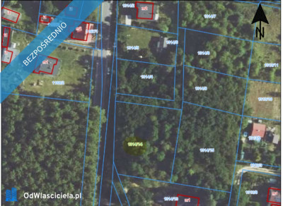 sprzedam piękneduże działki w Zaborzu gmina Żarki-ceny w treści ogłoszenia - Zaborze  -
śląskie Zdjęcie nr 3