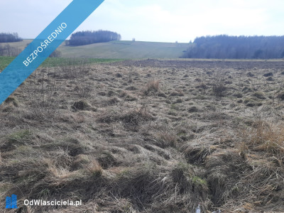 SPRZEDAM DZIAŁKĘ ROLNO-BUDOWLANĄ - Podmielowiec  -
świętokrzyskie Zdjęcie nr 2