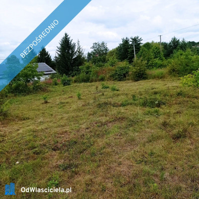 Działka Miedziana Góra  - Miedziana Góra  -
świętokrzyskie Zdjęcie nr 2