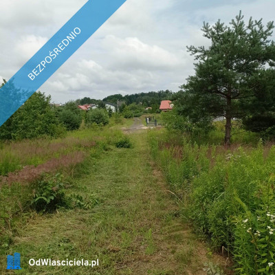 Działka Miedziana Góra  - Miedziana Góra  -
świętokrzyskie Zdjęcie nr 3