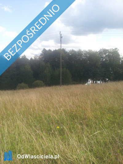 Sprzedan dzialke nad jeziorem Pierwoj - Kamionka  -
warmińsko-mazurskie Zdjęcie nr 2