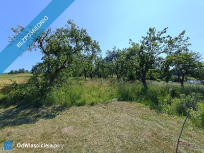 Działka z 2 domkami całorocznymi - Kleszczowa  -
śląskie Zdjęcie nr 6