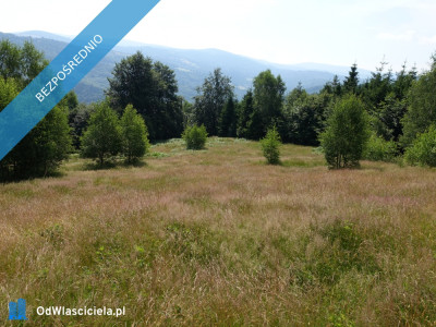 Brenna 253 ha działka inwestycyjna blisko wyciągu - Brenna  -
śląskie Zdjęcie nr 12