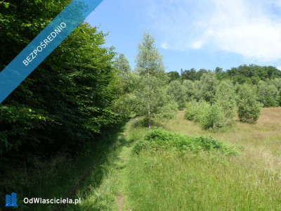Brenna 253 ha działka inwestycyjna blisko wyciągu - Brenna  -
śląskie Zdjęcie nr 13