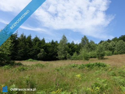 Brenna 253 ha działka inwestycyjna blisko wyciągu - Brenna  -
śląskie Zdjęcie nr 14