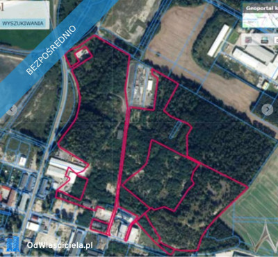 OKAZJA licytacja 266 ha działka usługi produkcja - Żarów  -
dolnośląskie Zdjęcie nr 2