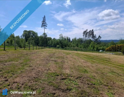 WIELORODZINNA działka Kudowa Zdrój pod pensjonaty 32 ary  - Kudowa-Zdrój  -
dolnośląskie Zdjęcie nr 2