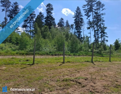 WIELORODZINNA działka Kudowa Zdrój pod pensjonaty 32 ary  - Kudowa-Zdrój  -
dolnośląskie Zdjęcie nr 7